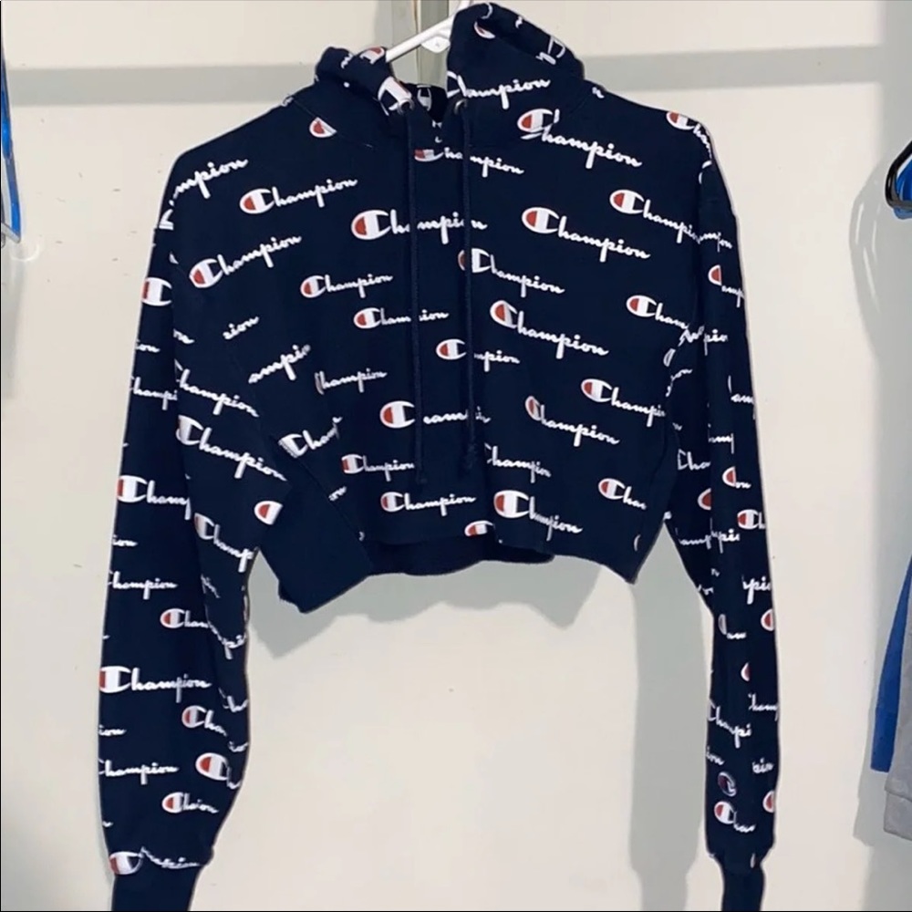 Champion cropped hoodie